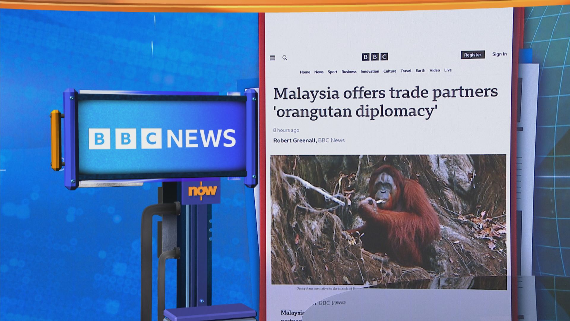 【世味天下】馬來西亞推「猩猩外交」以促進棕櫚油出口貿易