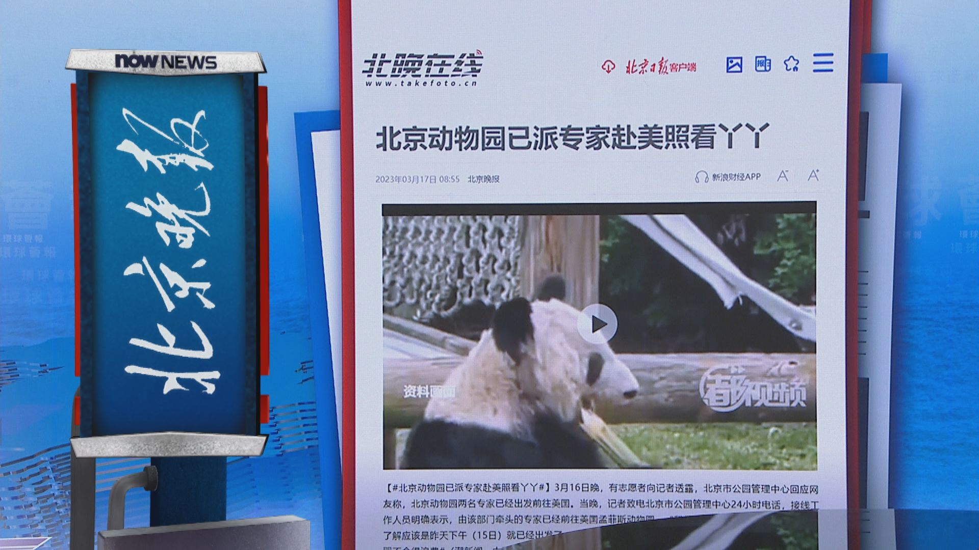 【環球薈報】北京大熊貓專家已抵美助照料「丫丫」