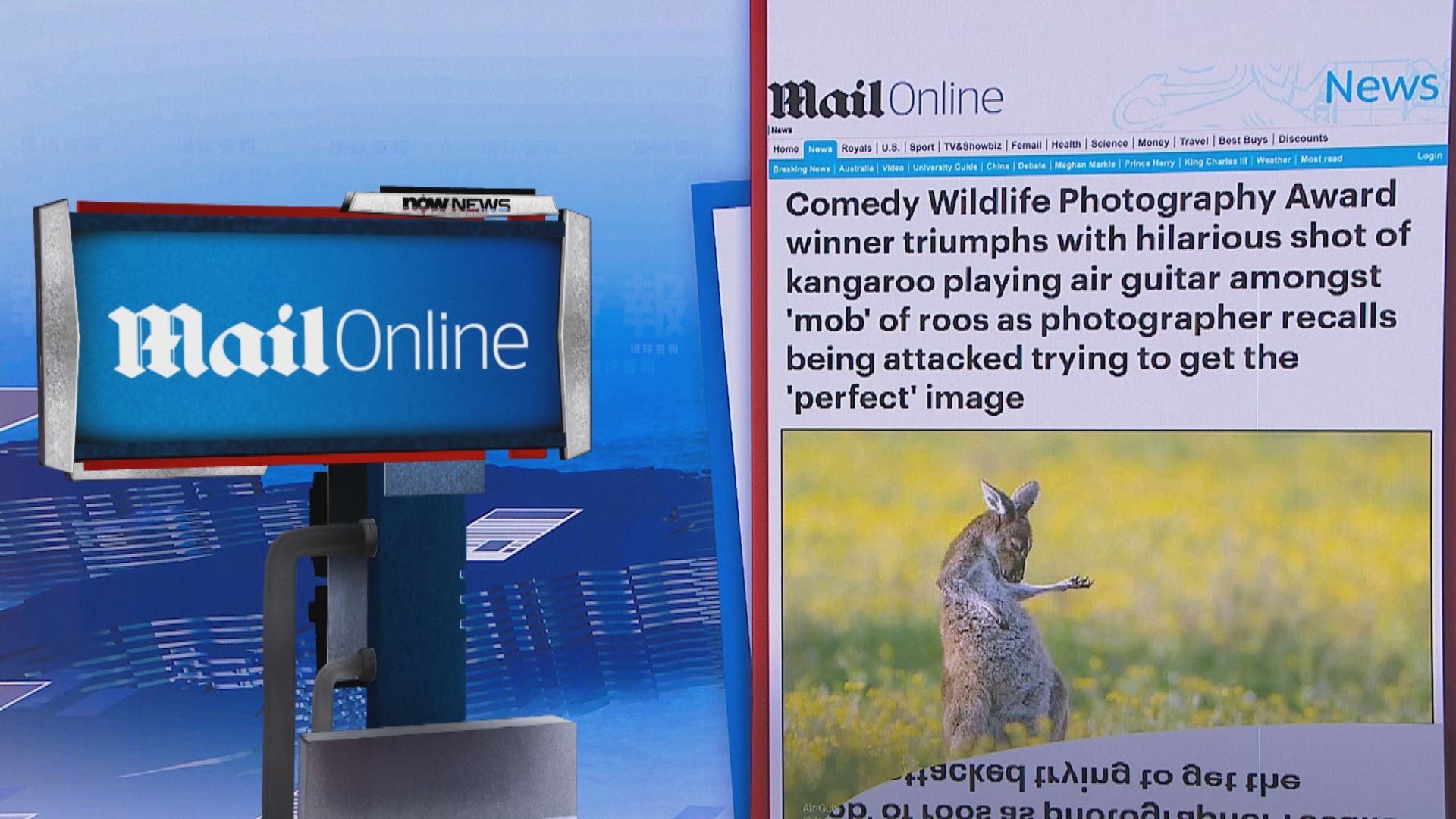 【環球薈報】澳洲攝影師憑袋鼠「彈結他」照片奪搞笑野生動物攝影獎總冠軍
