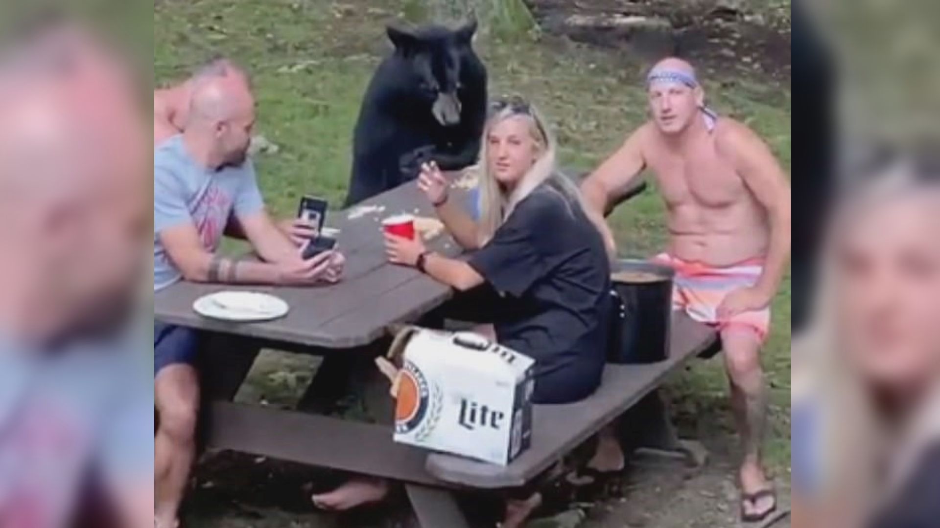 【環球薈報】美國馬里蘭州遊客與黑熊野餐捱轟