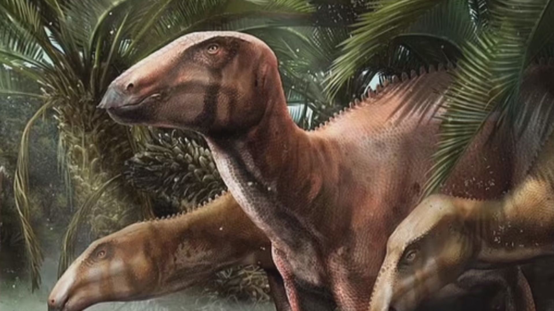 【環球薈報】意大利發現十一具八千萬年前完整恐龍化石