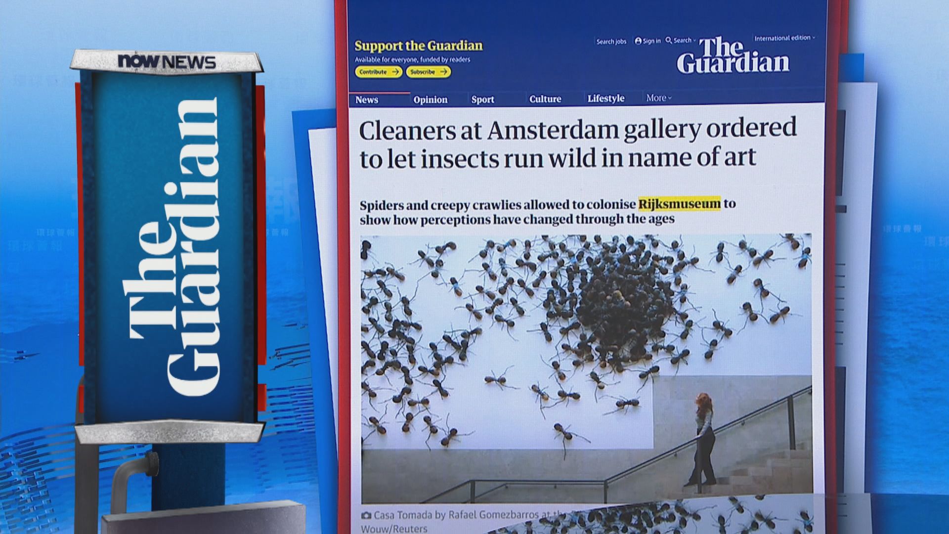 【環球薈報】荷蘭國家博物館讓昆蟲橫行三個月配合展覽