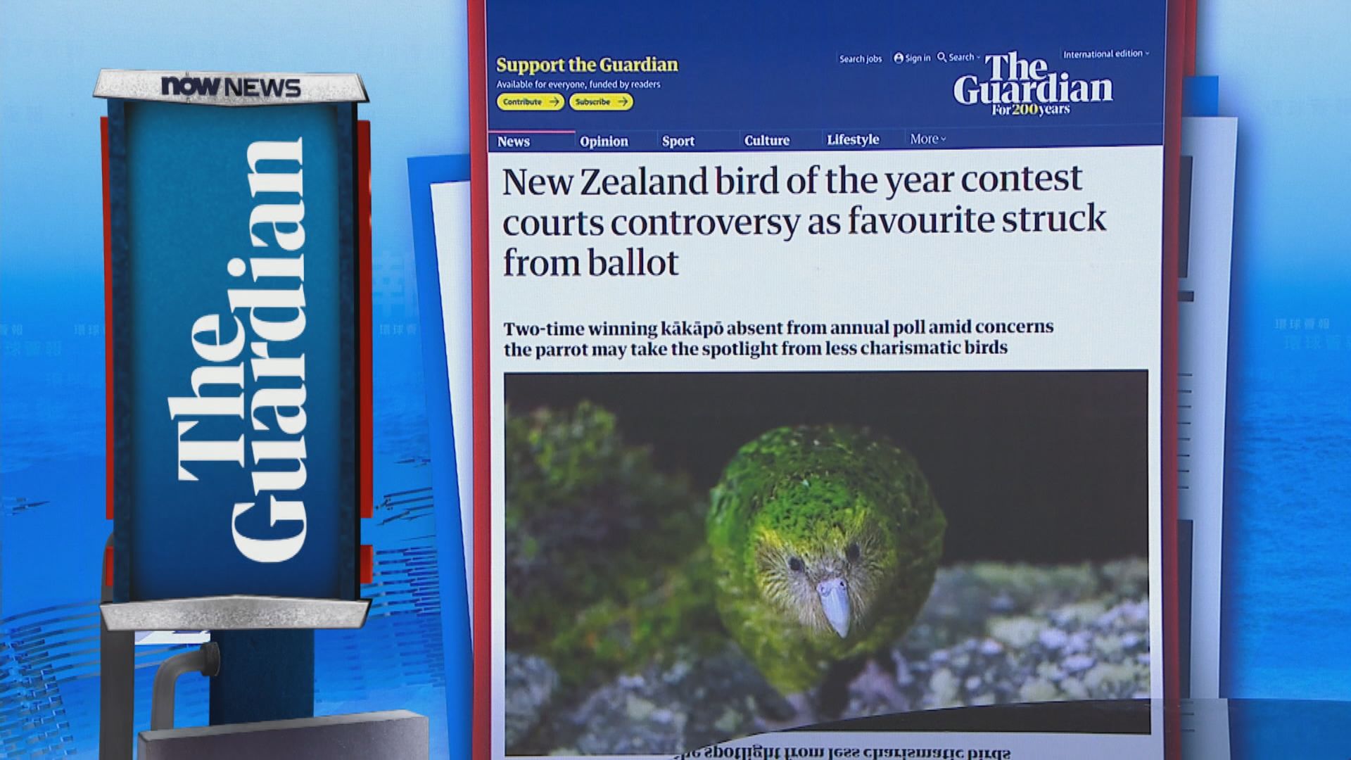 【環球薈報】新西蘭年度雀鳥選舉鴞鸚鵡被剔出入圍名單惹爭議