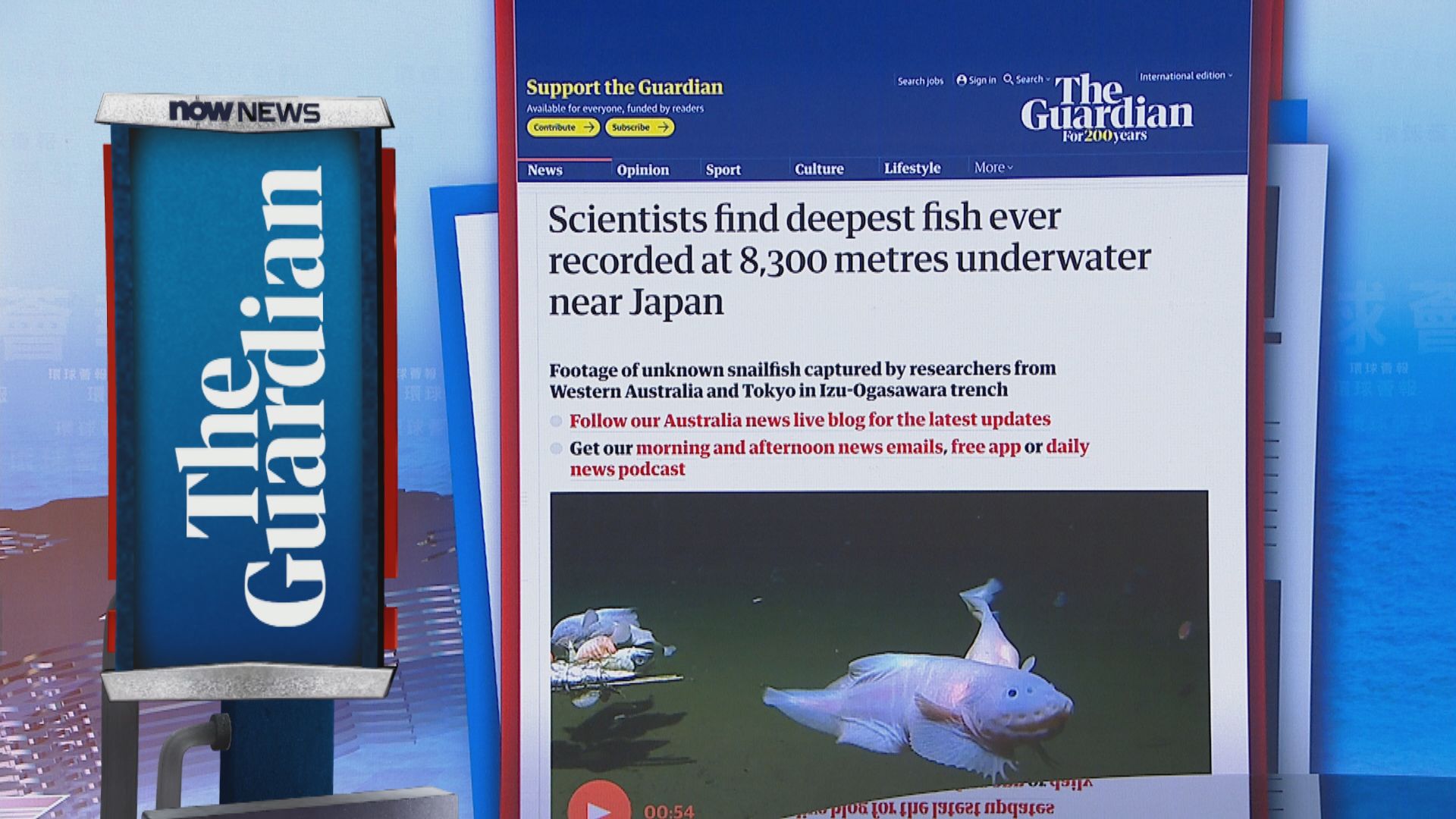 【環球薈報】逾八千米深海拍攝到蝸牛魚　已知最深海魚類