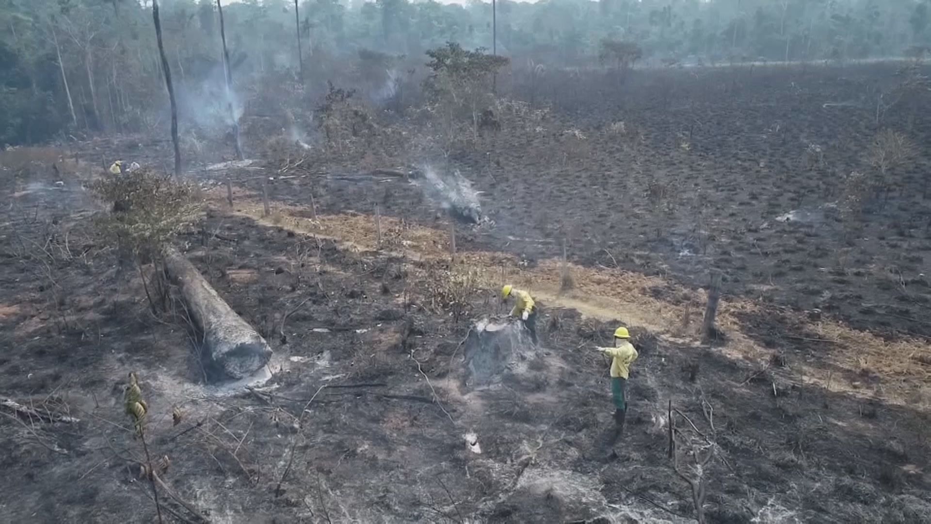 【環球薈報】亞馬遜雨林被砍伐情況十二年來最嚴重