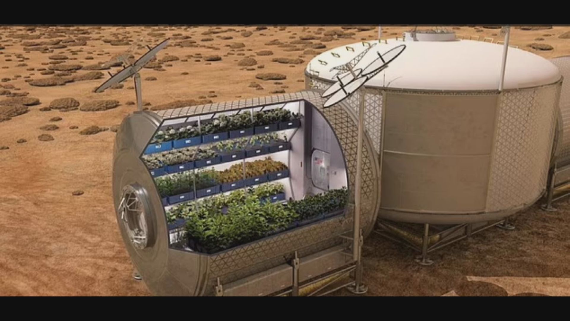 【環球薈報】基因改造生菜協助駐留火星太空人減少骨質疏鬆