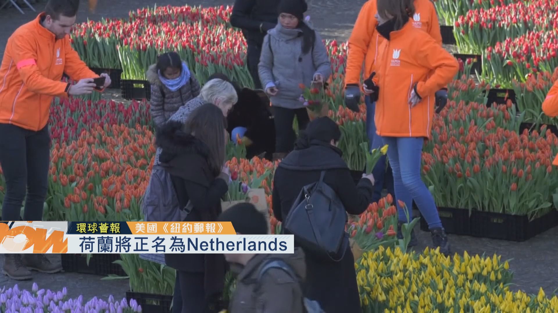 【環球薈報】荷蘭將正名為Netherlands