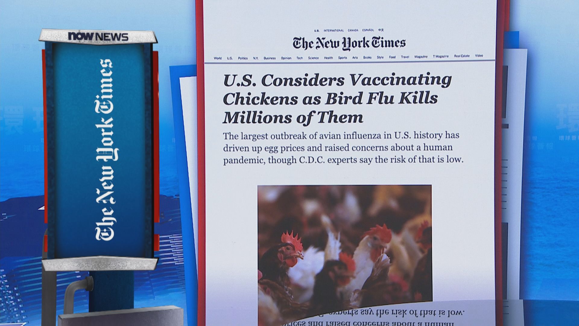 【環球薈報】美國考慮為雞隻大規模接種禽流感疫苗