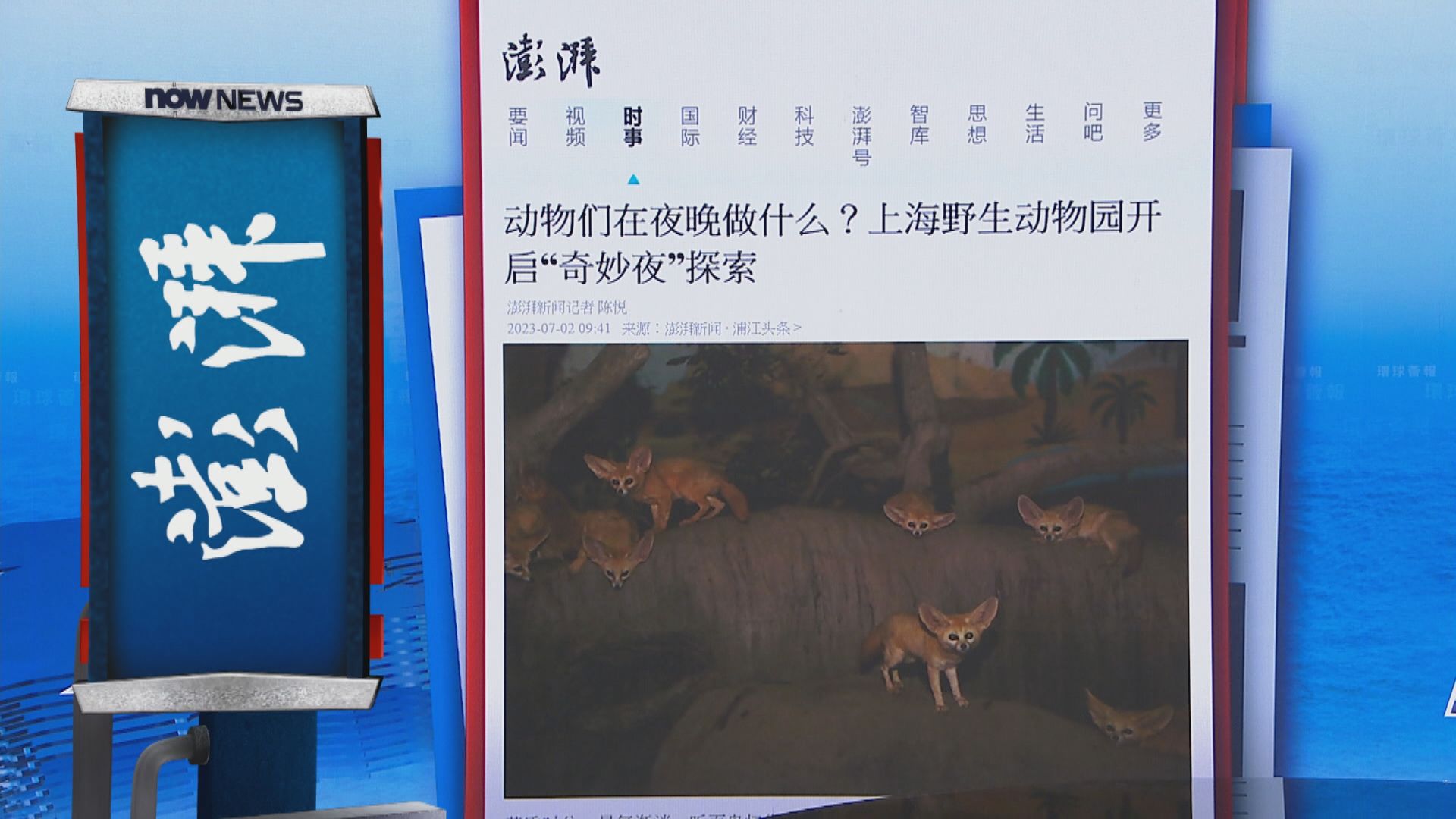 【環球薈報】上海野生動物園再辦「奇妙夜」