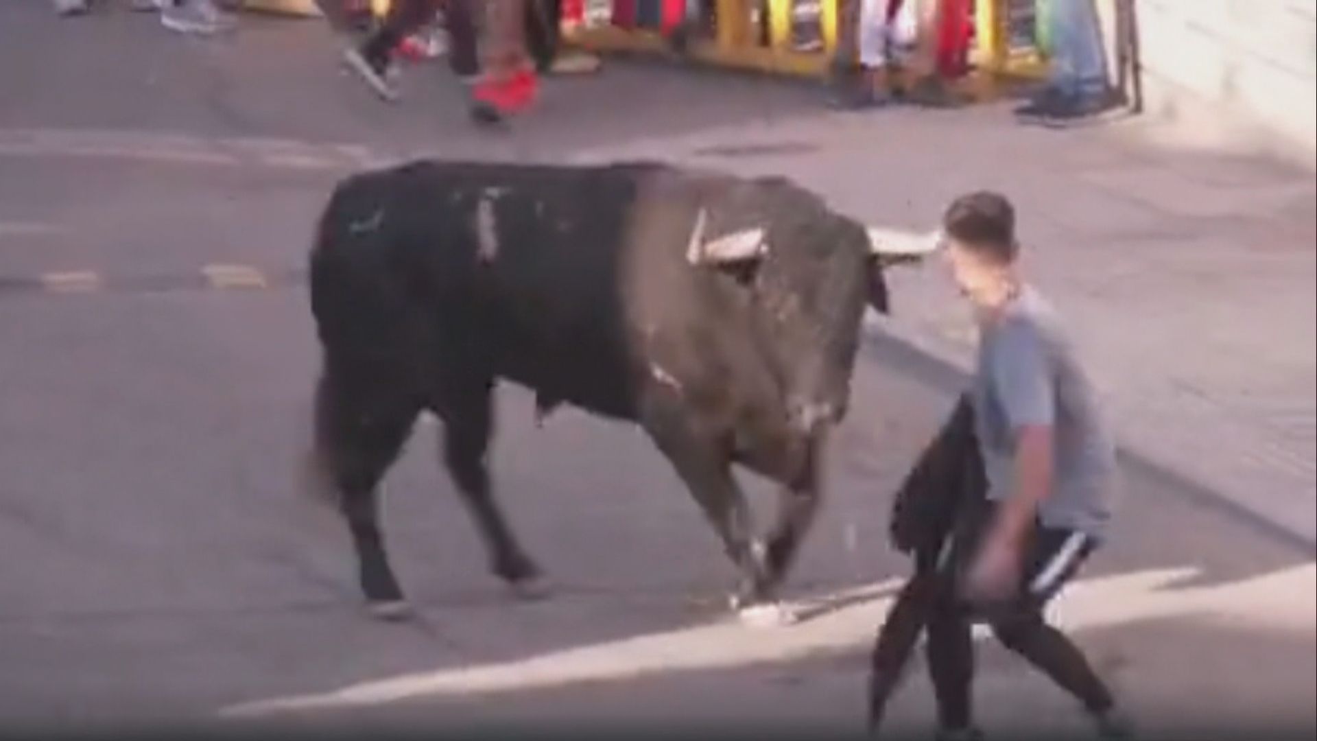 【環球薈報】西班牙小鎮舉辦疫情以來首場奔牛節