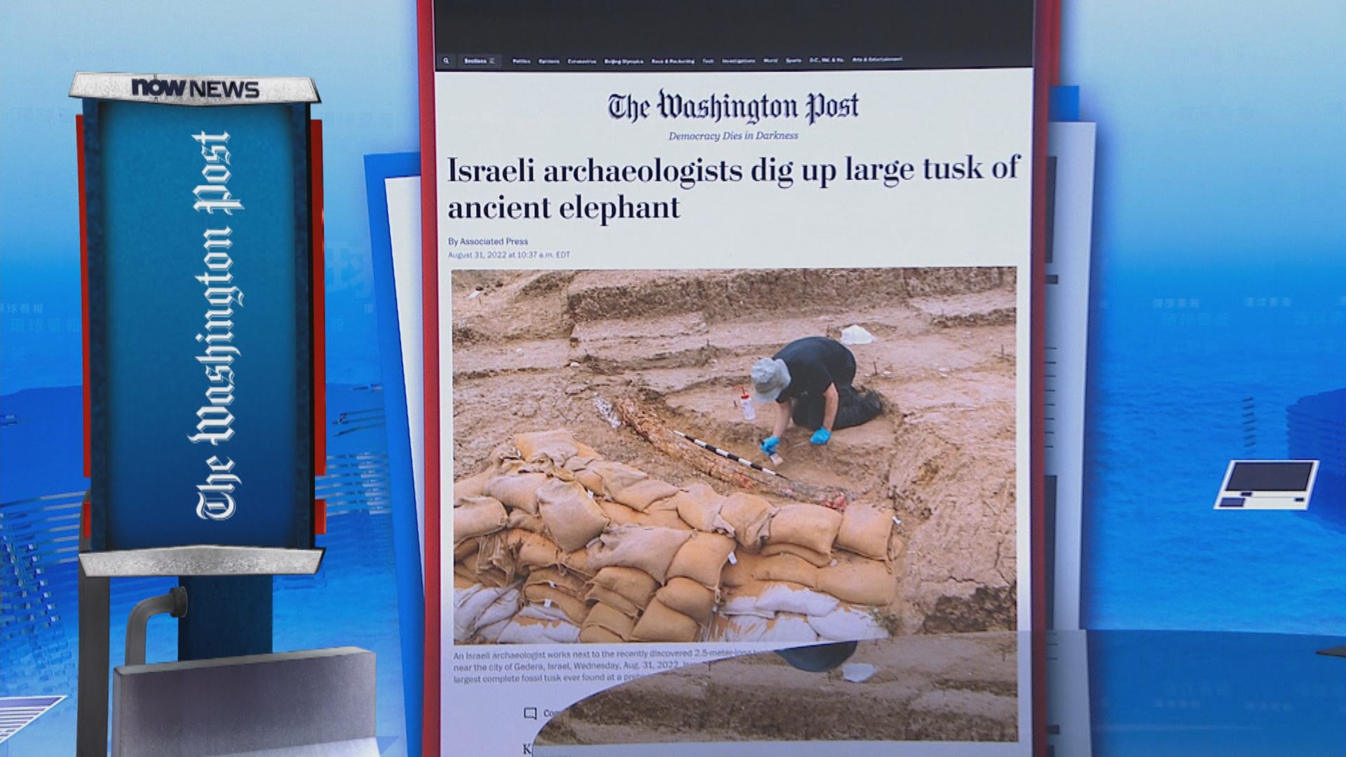 【環球薈報】以色列南部發現50萬年前完整象牙化石