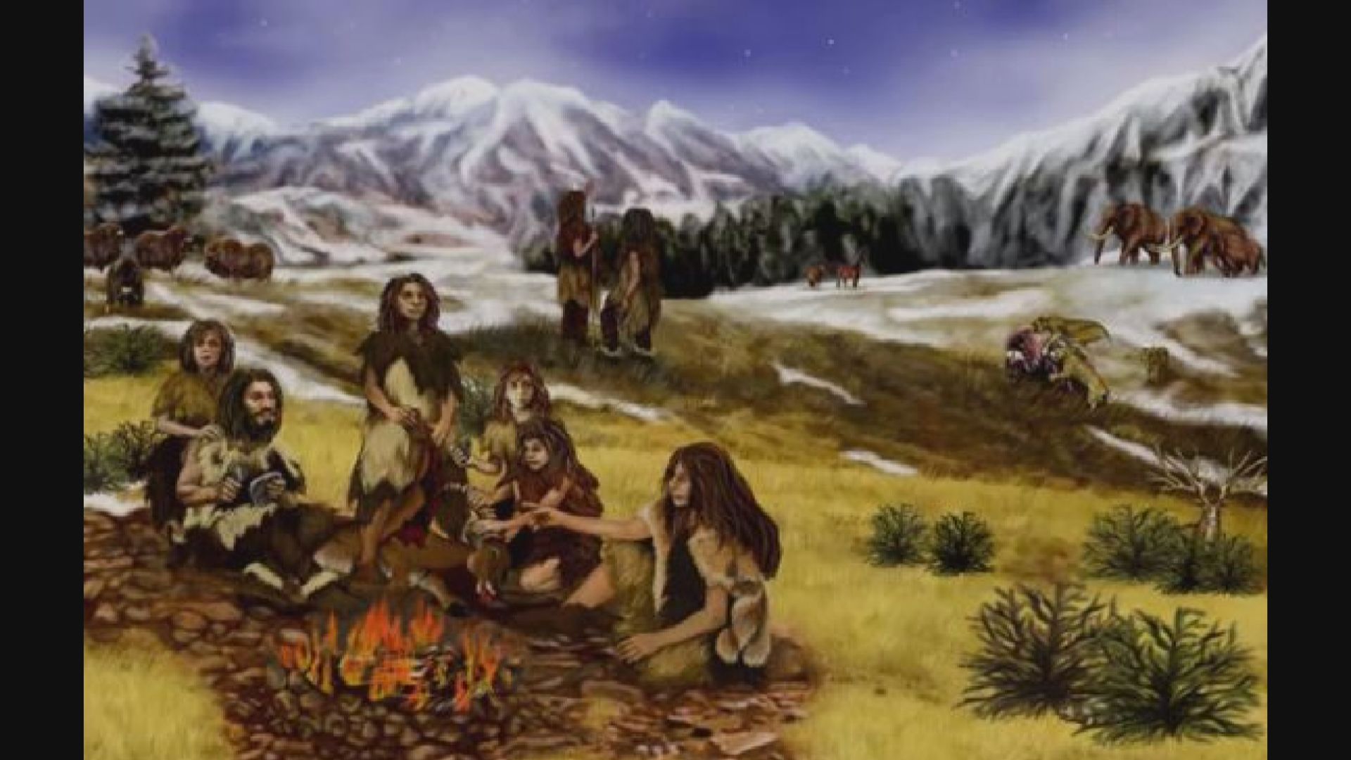 【環球薈報】考古發現尼安德特人12.5萬年前曾改變聚居地生態地貌