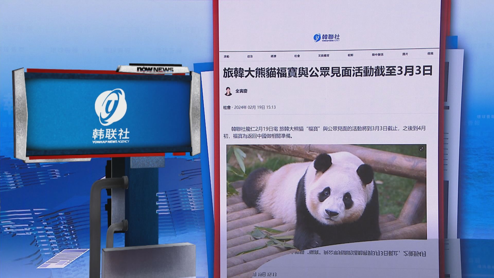 【環球薈報】旅韓大熊貓「福寶」下月初暫停與公眾見面