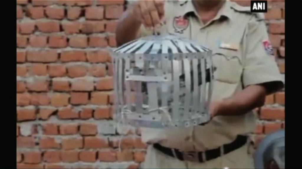 【環球薈報】印度邊境拘兩白鴿間諜