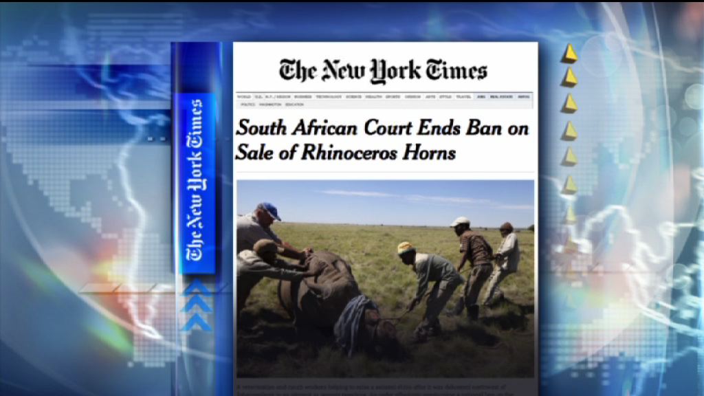 【環球薈報】南非法院裁定賣犀牛角合法