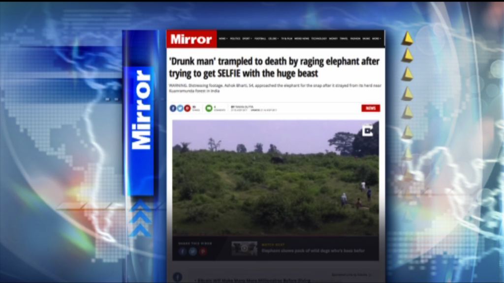 【環球薈報】印度醉漢企圖跟大象自拍被踩死