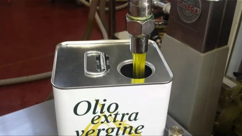 【環球薈報】意大利橄欖失收　橄欖油價漲