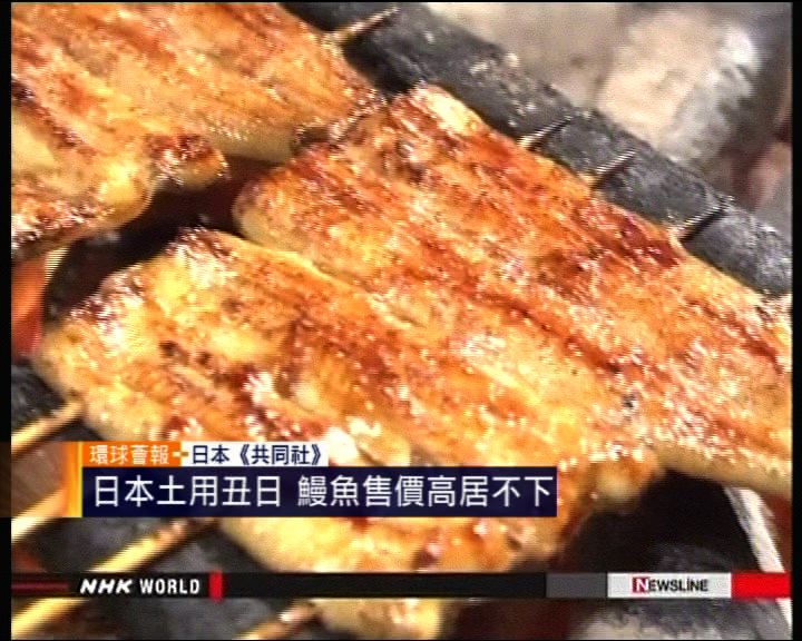 
【環球薈報】日本土用丑日鰻魚售價高居不下