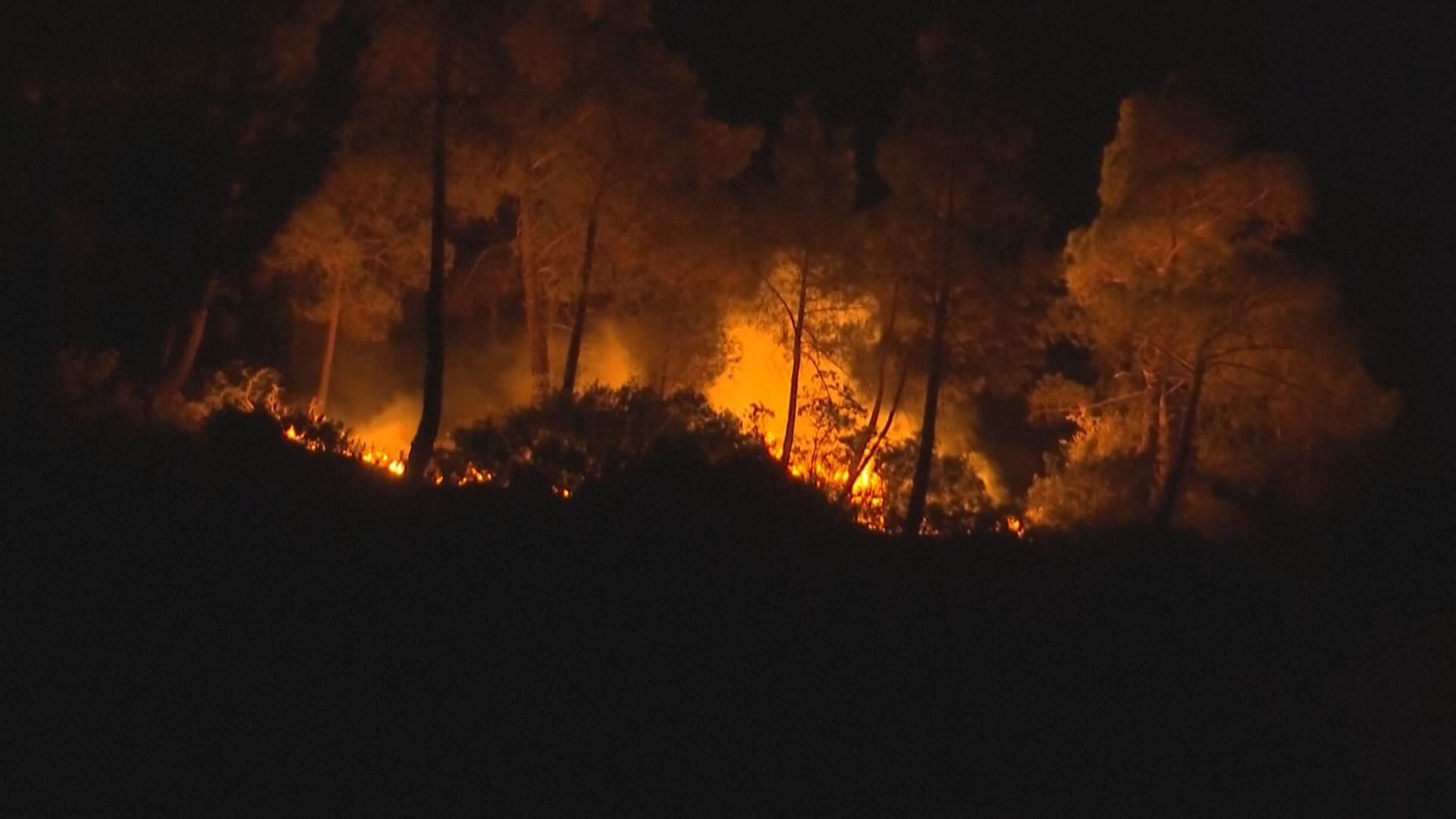 希臘羅得島山火持續 約19000人疏散
