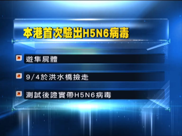 本港首次發現H5N6病毒