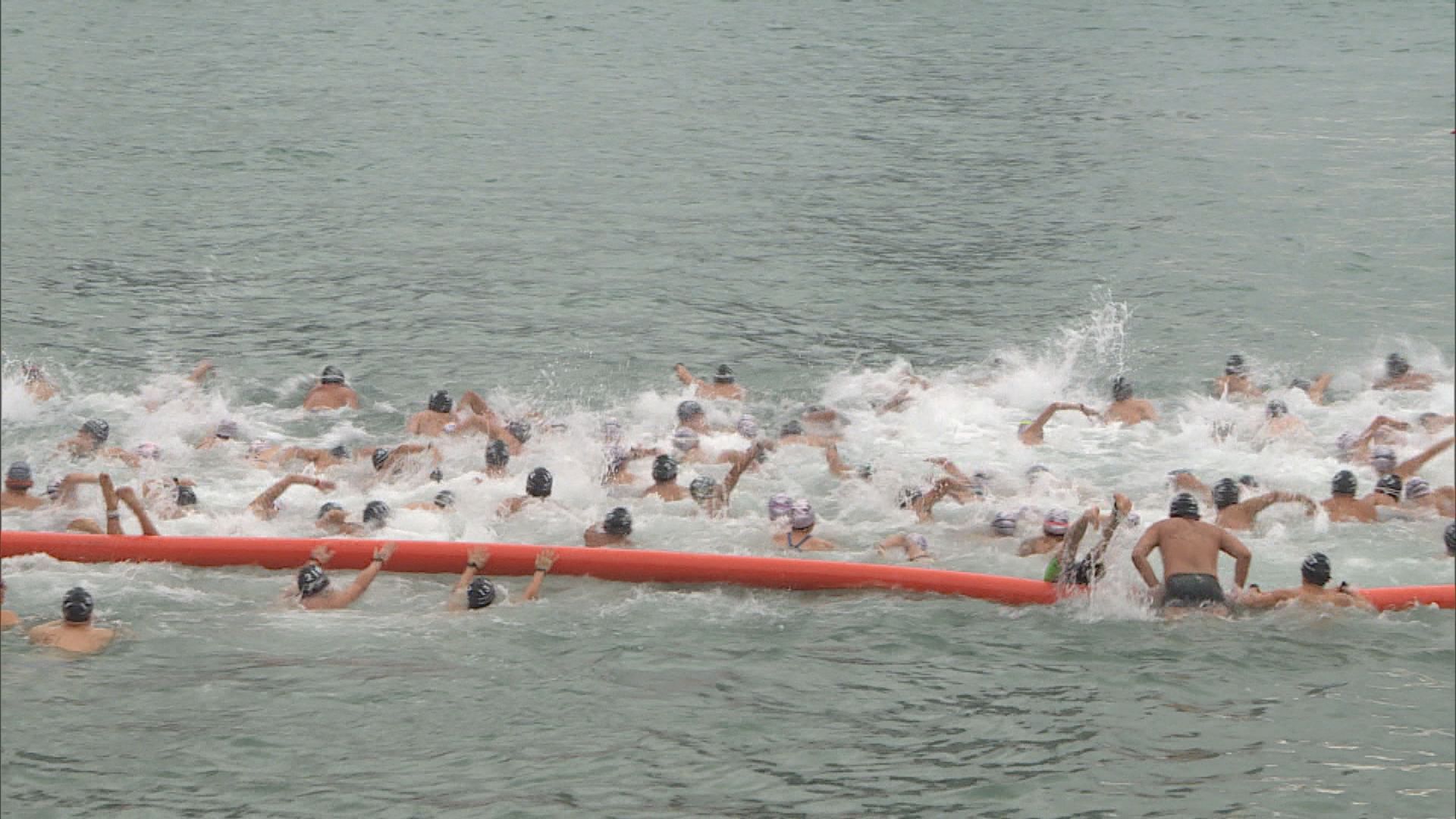 近3000人參加維港渡海泳 26人不適無法完成賽事