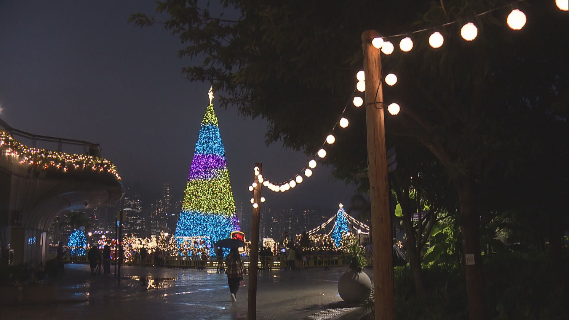 旅發局周五起於西九文化區展出全港戶外最高聖誕樹