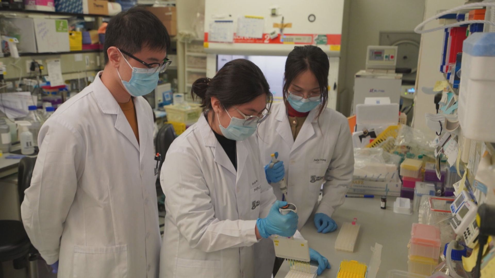港大醫學院研發DNA疫苗有效抑制恆河猴愛滋病病毒 