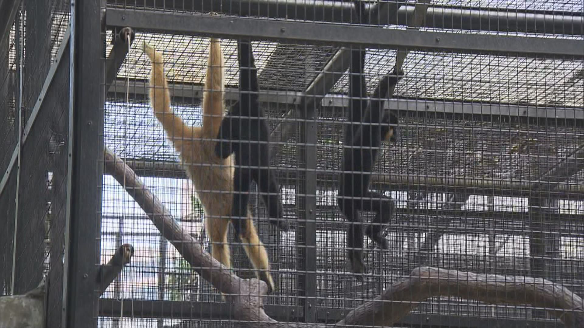 動植物公園重開哺乳類動物區