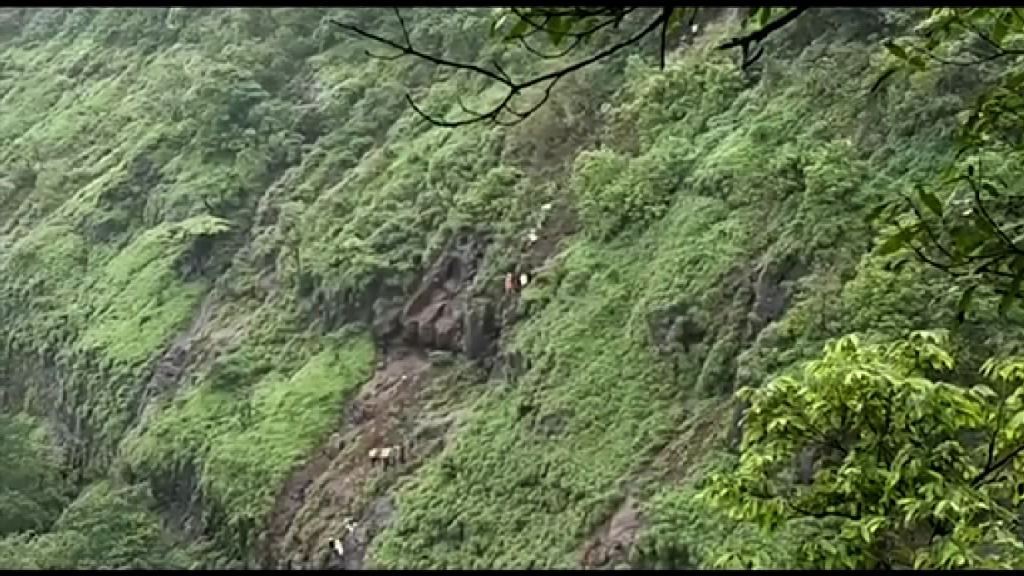 印度巴士墜落山谷逾30死