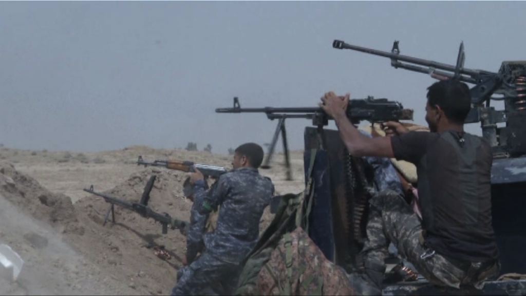 伊拉克政府軍續猛攻費盧杰