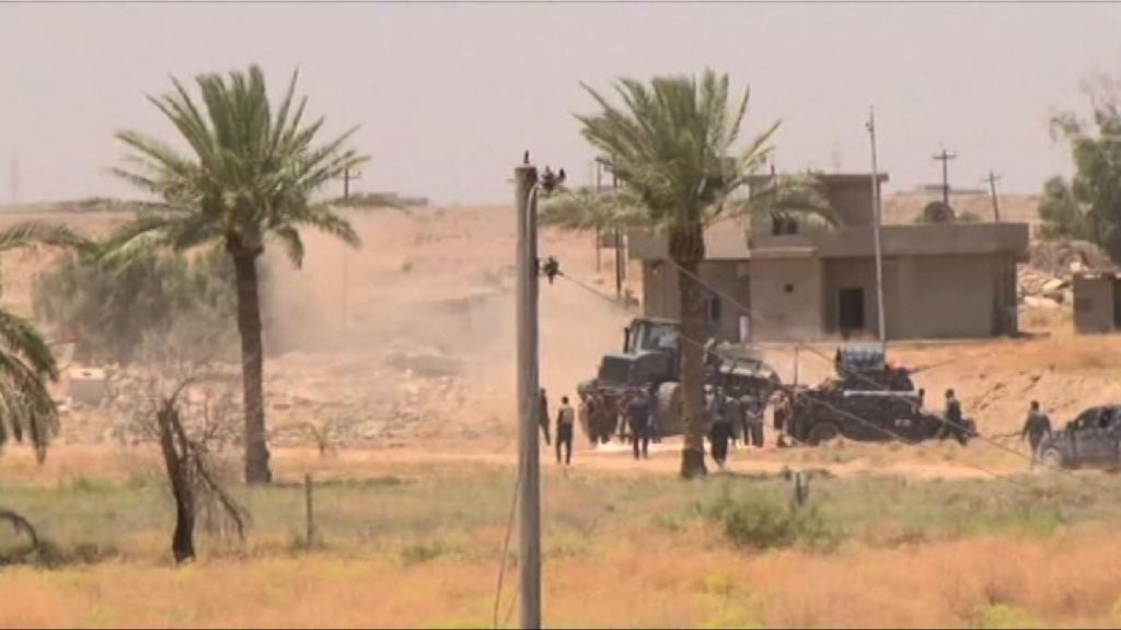 伊拉克政府軍繼續反攻費盧杰