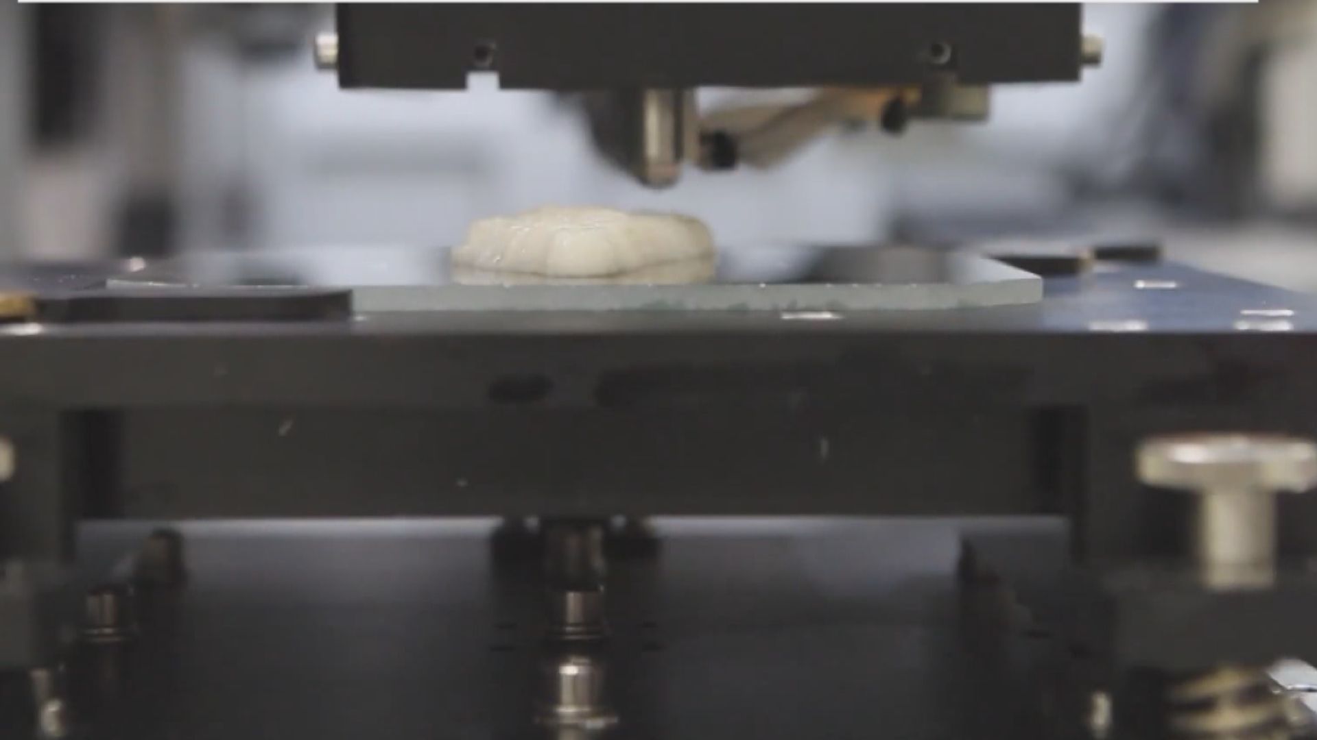 以色列與新加坡公司成功研發首塊3D打印魚肉