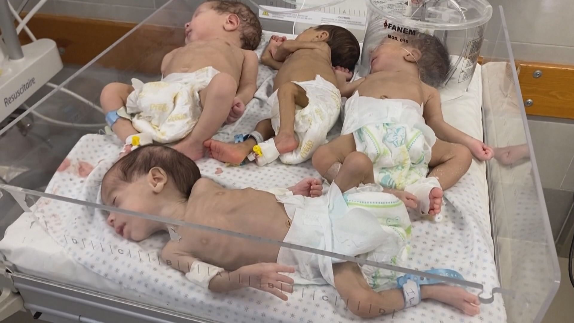加沙希法醫院約30個危急嬰兒撤走 卡塔爾有信心達成放人質換暫時停火協議