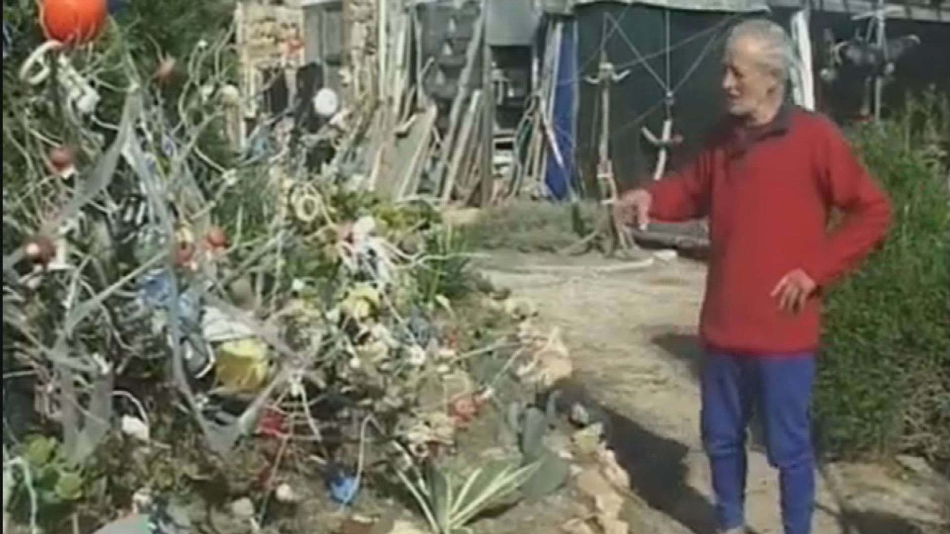 曾獨居荒島32年　意大利「現代魯賓遜」逝世　享年85歲