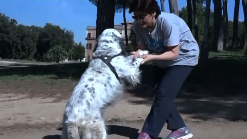 意大利法院判女子獲有薪病假照顧愛犬