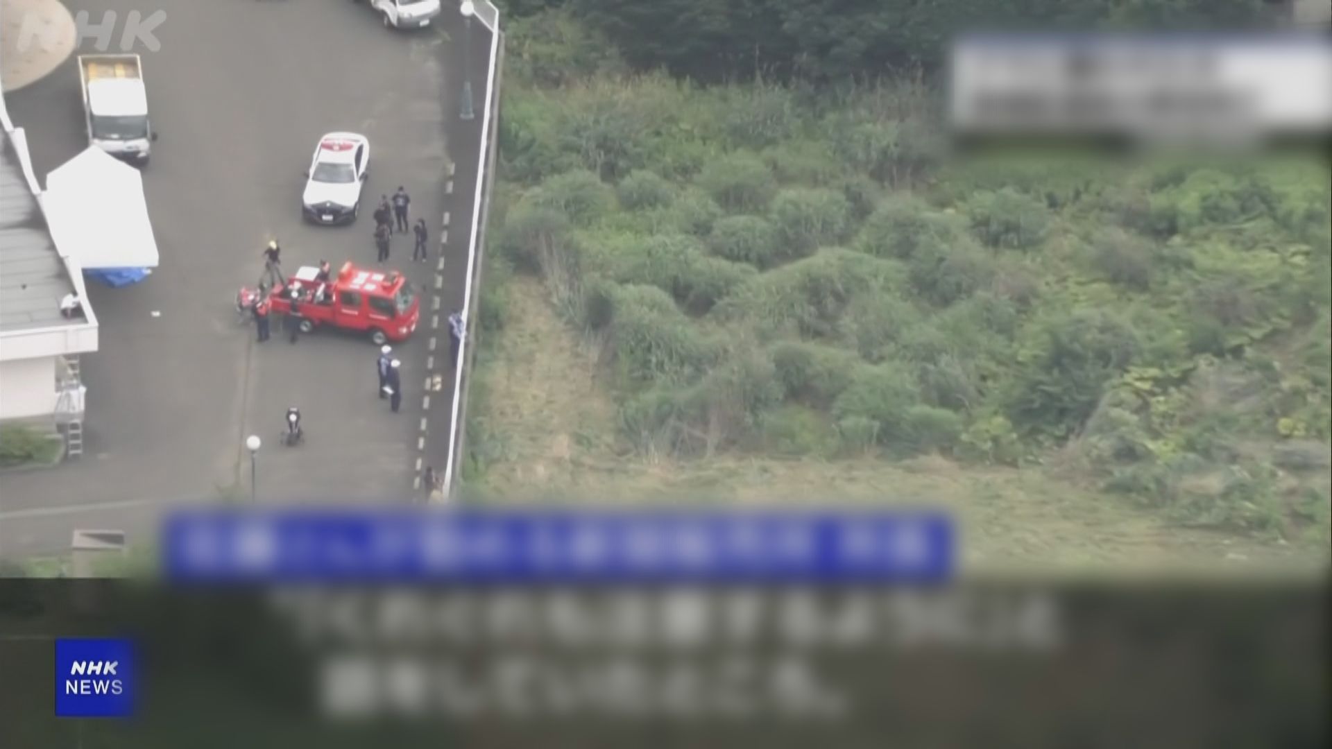 日本熊出沒｜北海道一名男子疑遭熊襲擊身亡
