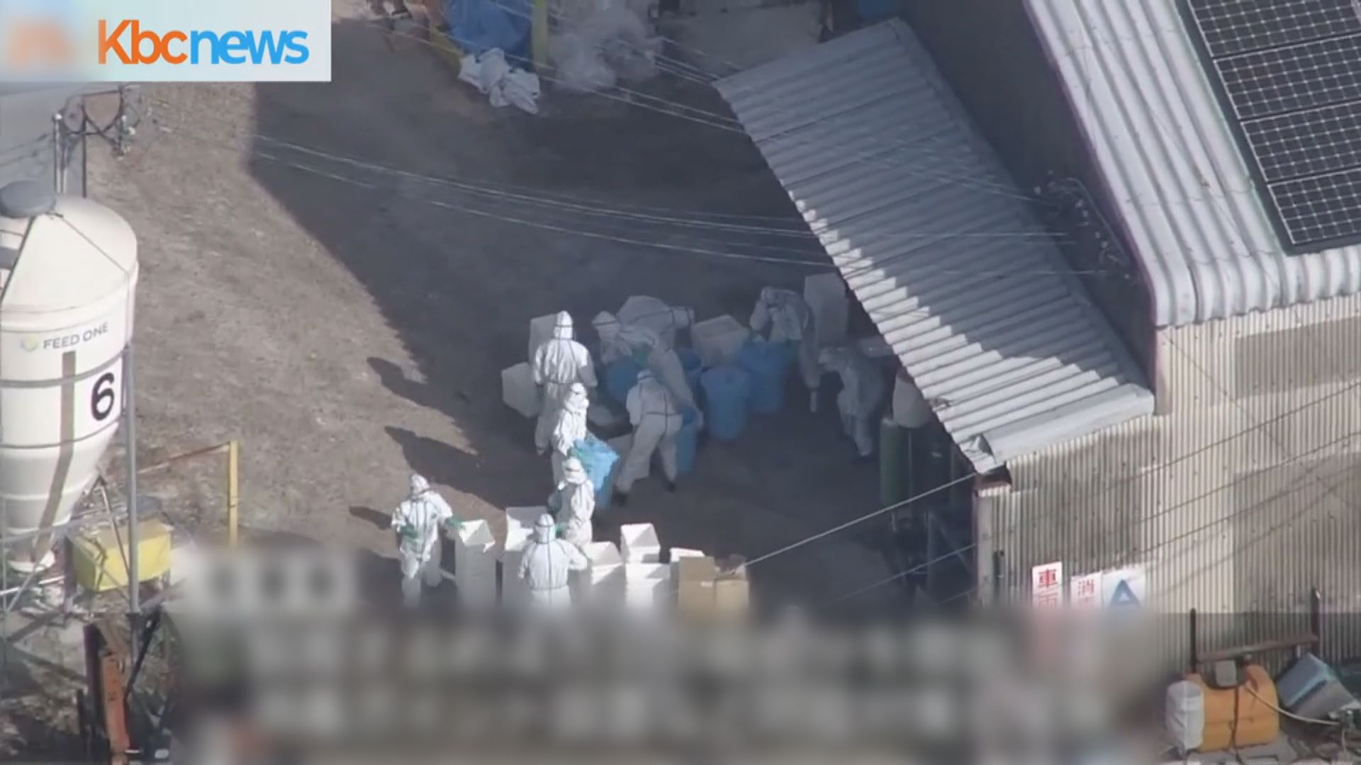 日本佐賀縣有雞場爆發禽流感 當局撲殺約4萬隻雞