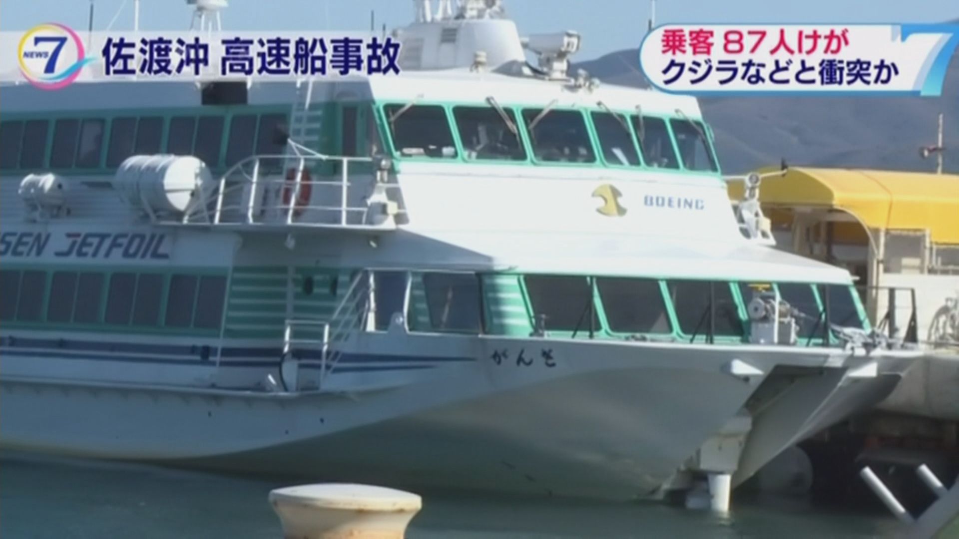 日本噴射船疑撞擊海洋生物　逾80人傷
