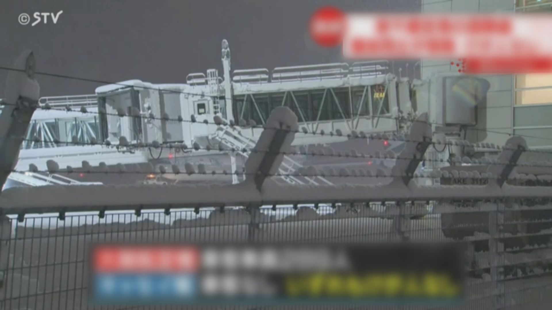 國泰與大韓客機日本札幌新千歲機場碰撞無人傷