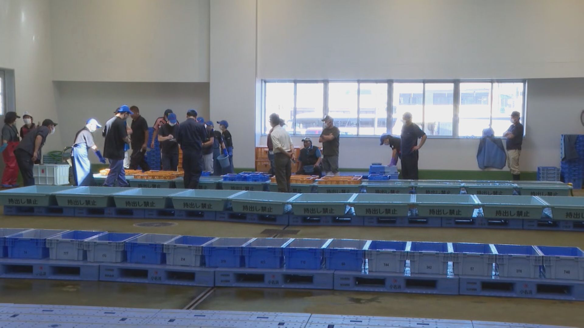 福島魚市場如常運作 有職員抽樣檢查漁獲輻射水平