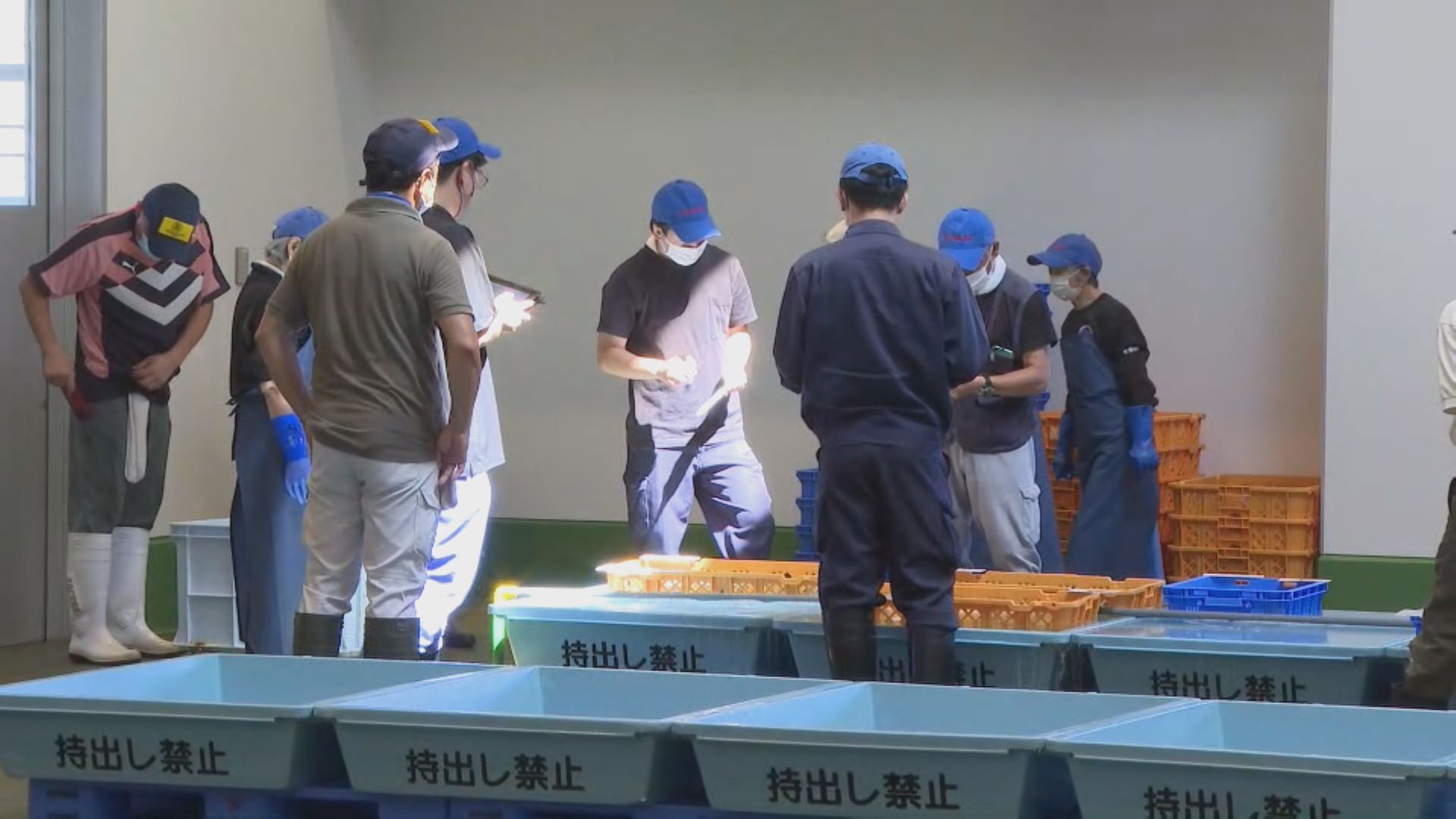 核污水排海翌日 福島魚市場漁獲輻射未有超標  民眾改購外國海產