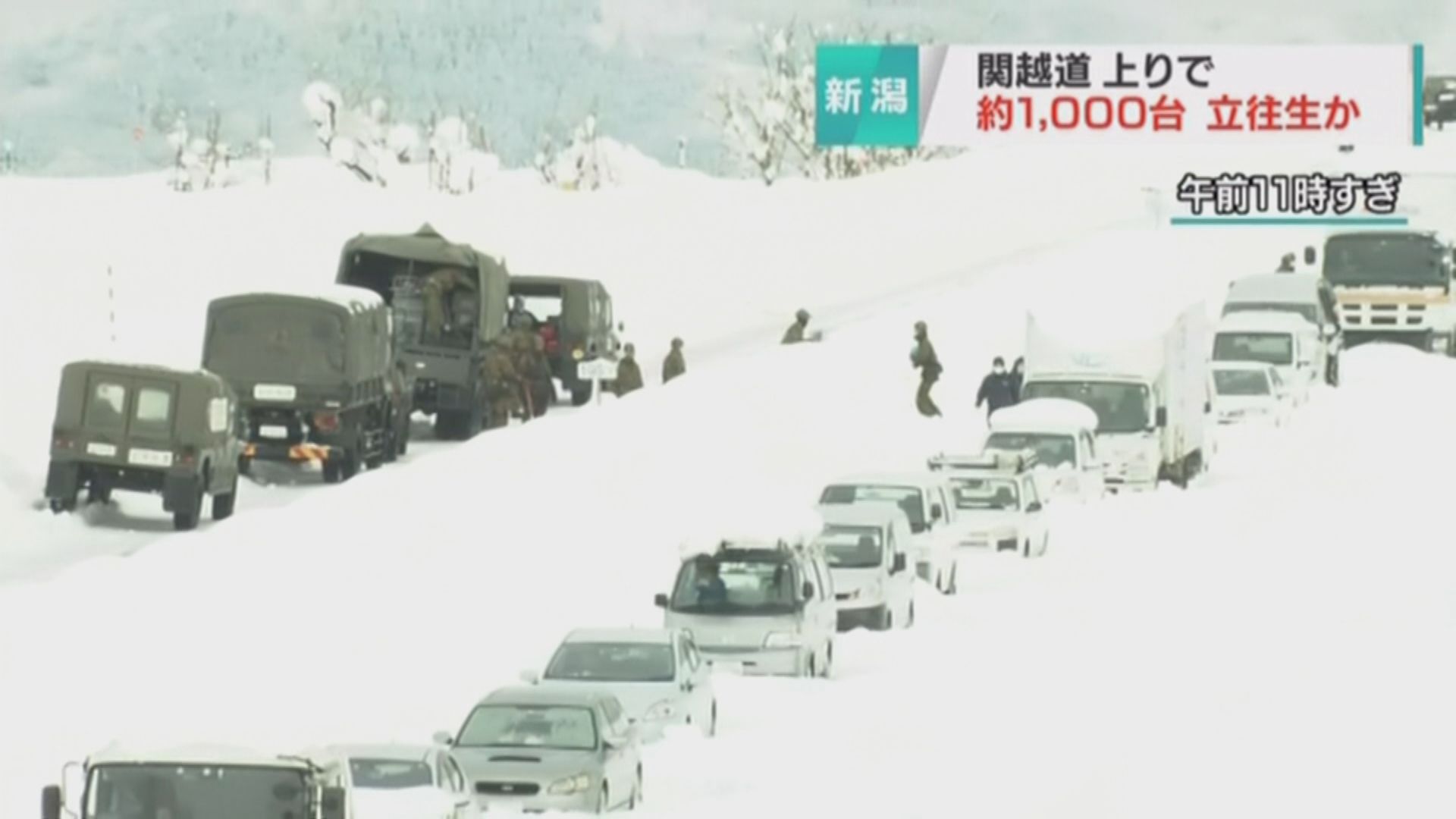 【暴雪持續】日本新潟縣幾百輛車公路受困　自衛隊派員協助