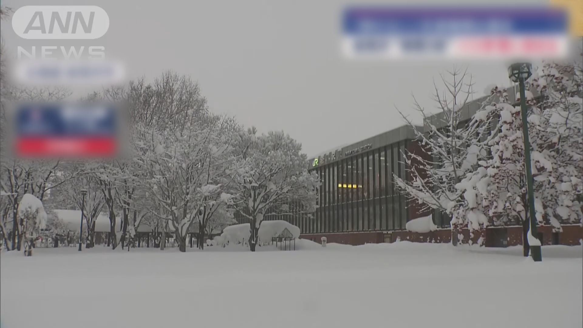 日本北部及東北部多地持續降雪　青森縣積雪達2米