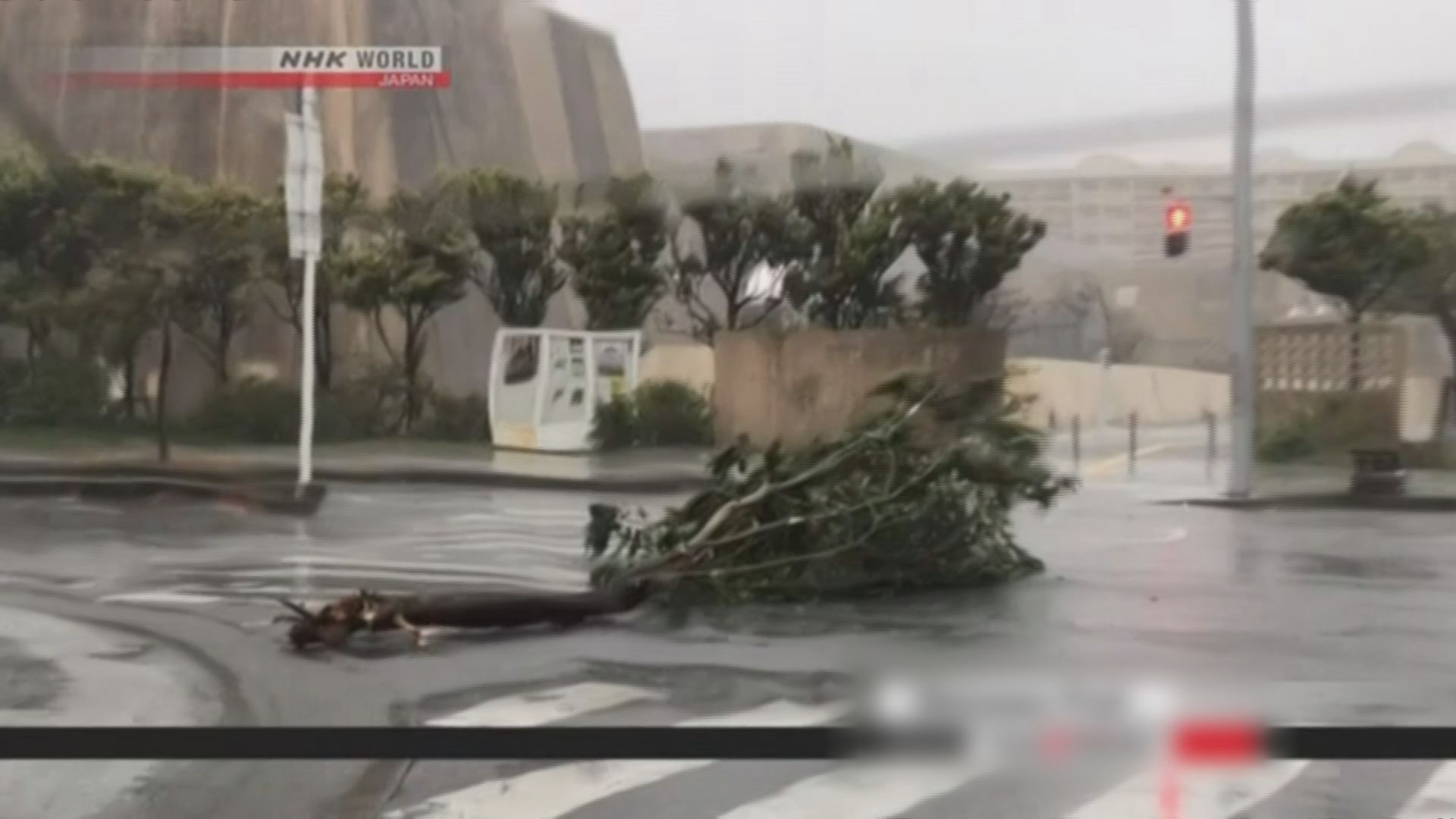 強颱風「潭美」吹襲日本　逾20萬戶停電