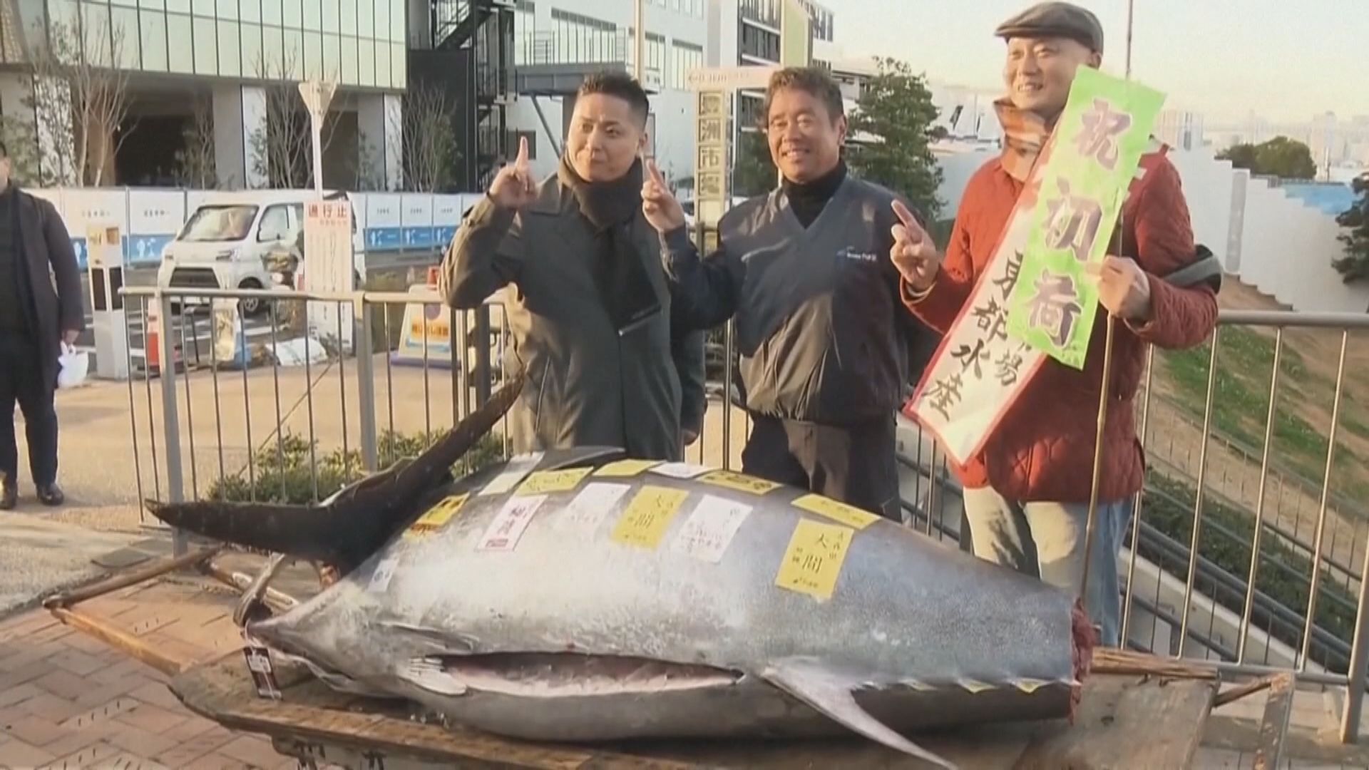 東京豐洲市場新年拍賣 吞拿魚王以逾1.1億日圓成交