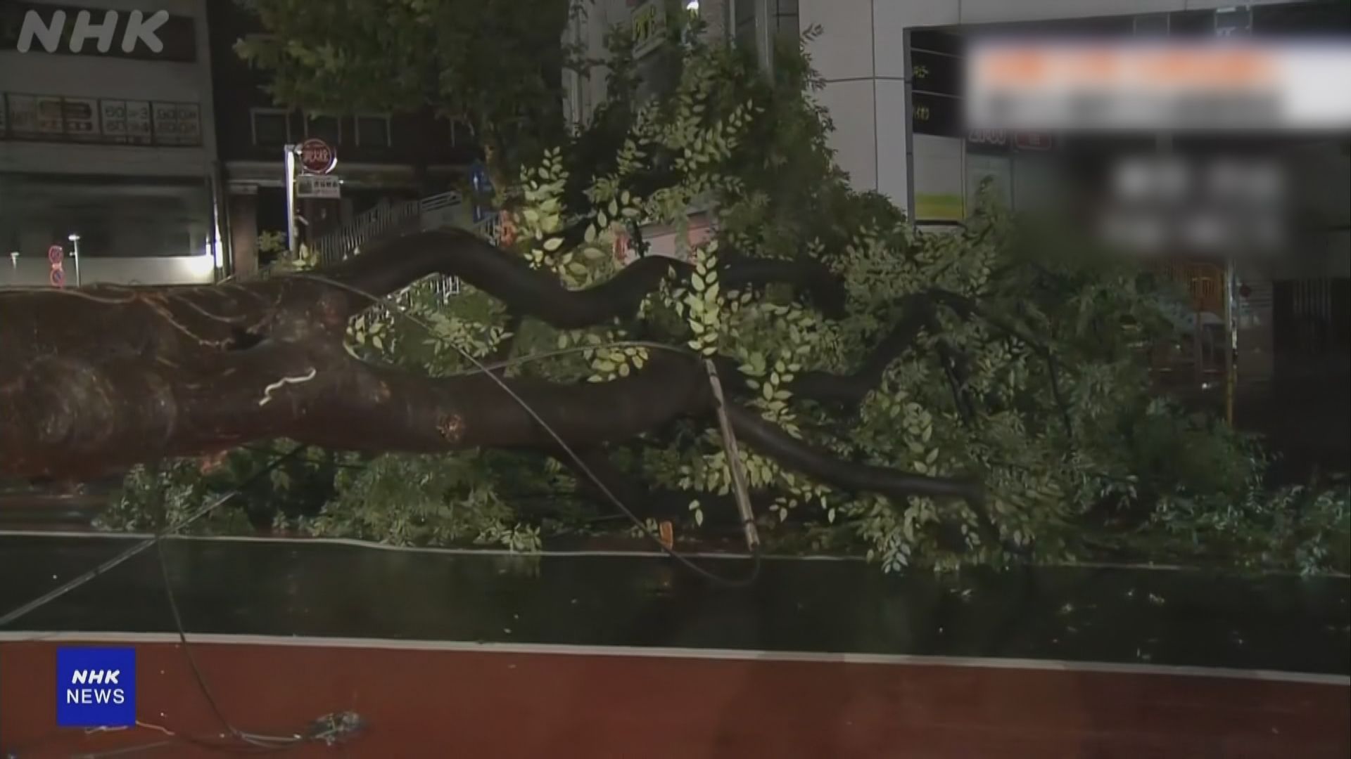 珊珊續於日本緩慢移動　本州多地暴雨