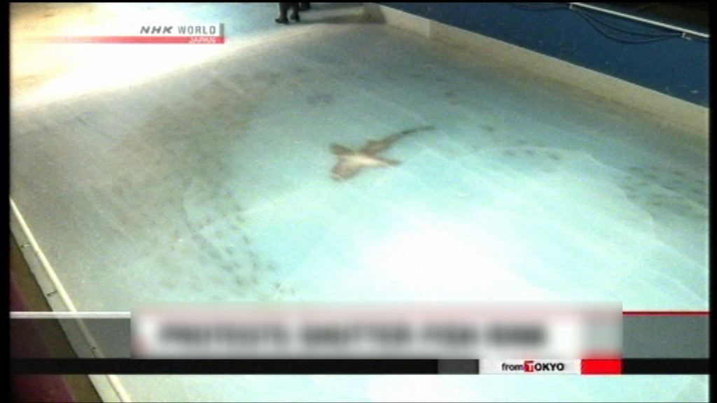 日本溜冰場冰層藏魚群引來批評