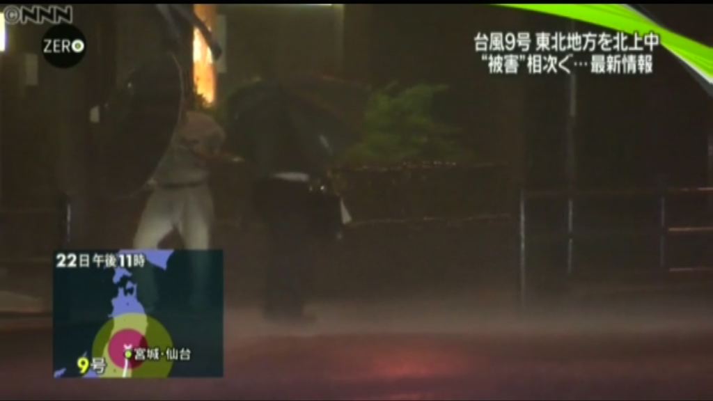 蒲公英在北海道再度登陸帶來暴雨