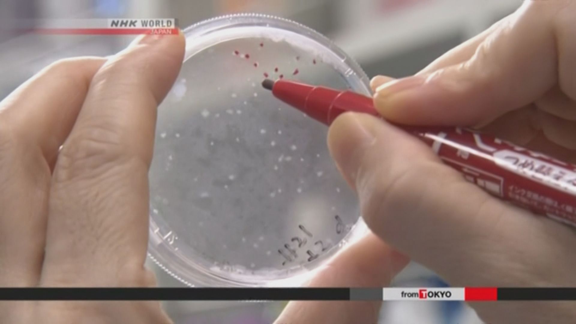 日本研究發現H7N9病毒可經飛沫傳播