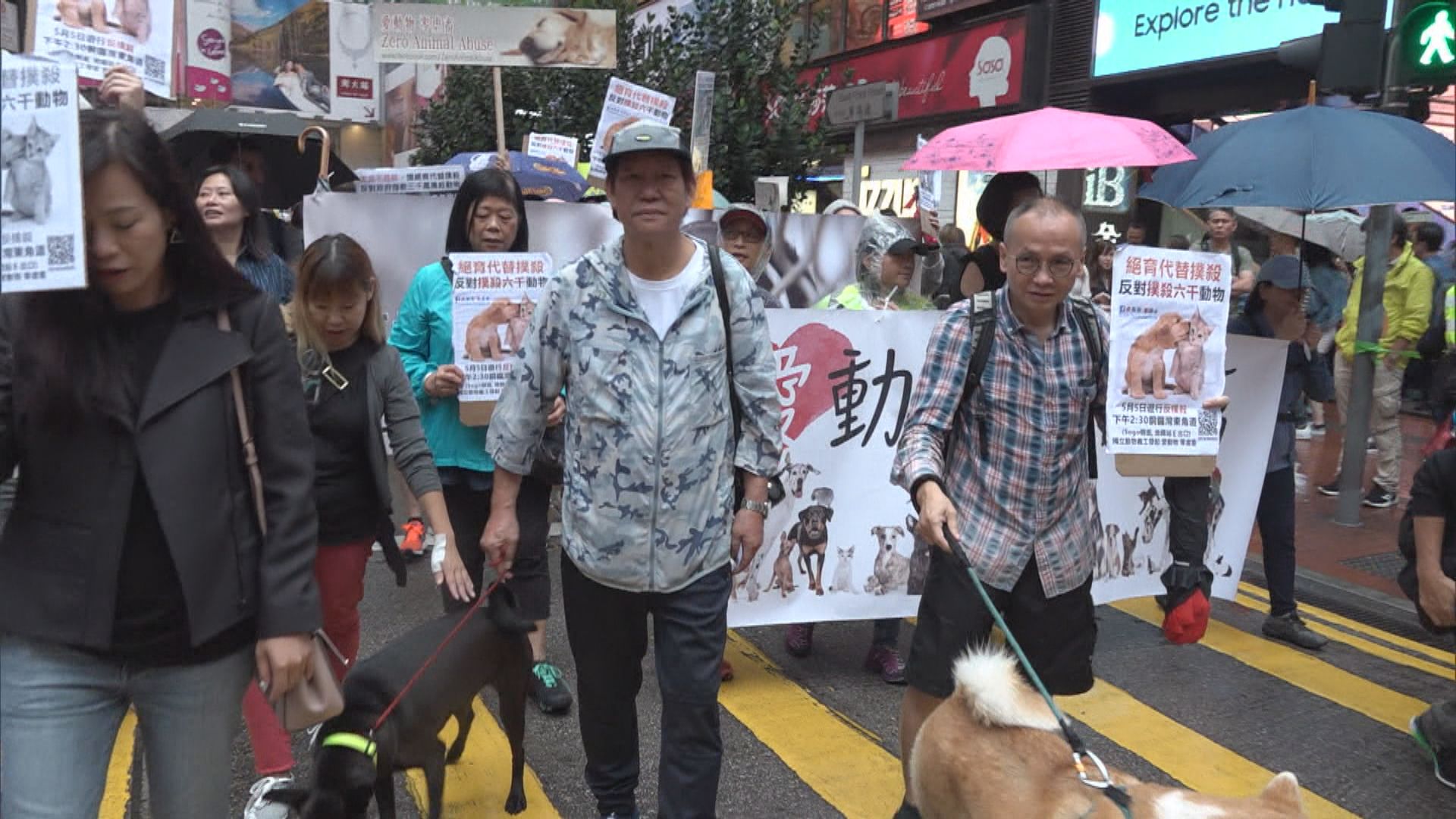 團體遊行促政府以絕育代替撲殺動物
